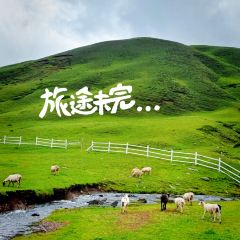会泽大海草山羴犇烧烤店 User Photo