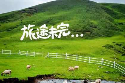 会泽大海草山羴犇烧烤店