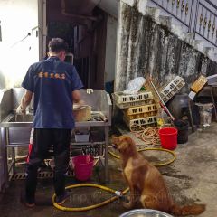 客香里农家饭店 User Photo