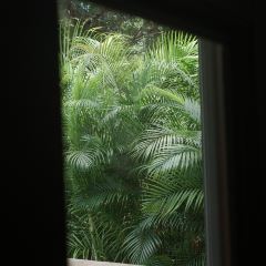 GuLangYu LiJiaZhuang XiuXian Coffee LvGuan User Photo