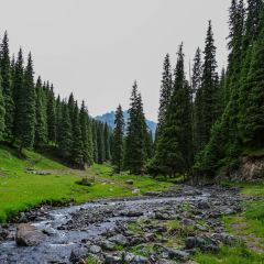 Shagou (miaopude) bishushanzhuang User Photo