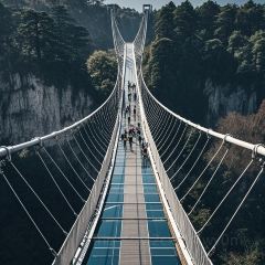 橘子洲头(天仙路店) User Photo