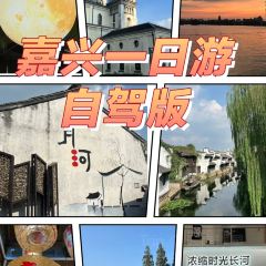 Seeing Tea User Photo