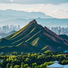 SILK ROAD'S PROMISE User Photo