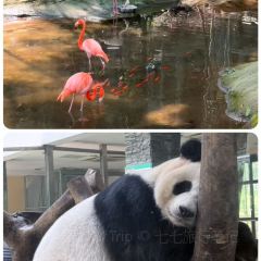 YU YAN LOU User Photo