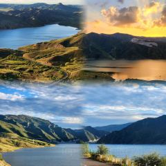 白老大羊杂碎稍麦 User Photo