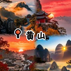 秀嫂挞粿 User Photo
