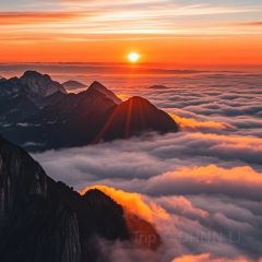 LAOPINGXIANG User Photo