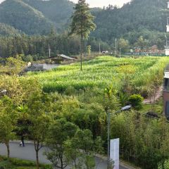 腾冲侨城驿站温馨酒店·餐厅 User Photo