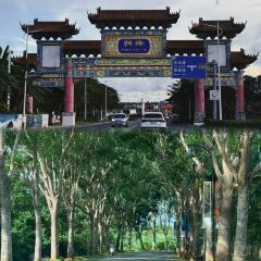 HUA NAN BAO User Photo