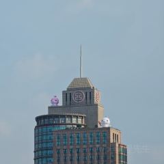 FREE TIME User Photo