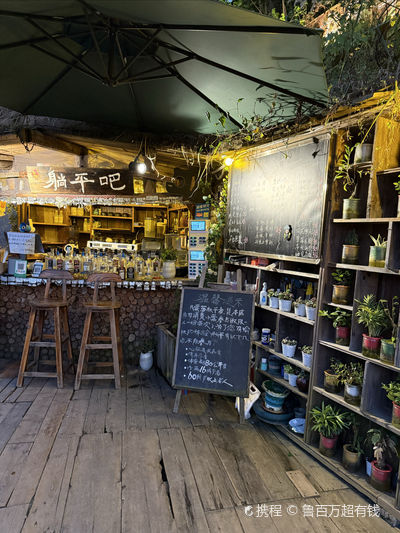 Cunshang Study · Cowshed Camp