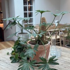 Portsea Hotel Bistro張用戶圖片