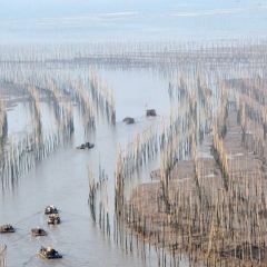 福宁海鲜大排档 User Photo