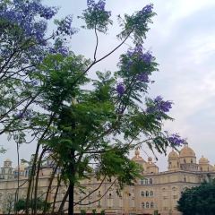 漢堡王（梅嶺觀海店）張用戶圖片