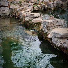 全福农庄 User Photo
