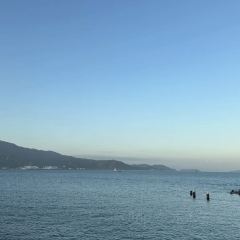 桔钓沙望月海鲜餐吧(大鹏游艇会店) User Photo