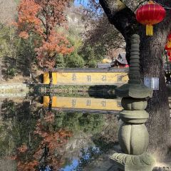 朝阳早餐店 User Photo