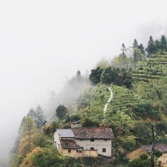 云上平田·爷爷家咖啡 User Photo
