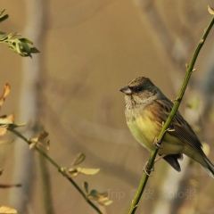 秀山湖畔張用戶圖片