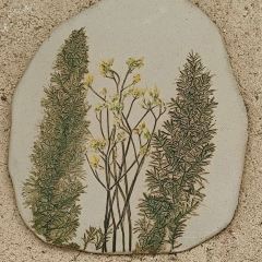 小新厨房(簕菜创意园店) User Photo