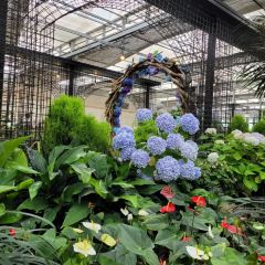 Manor Blanc User Photo