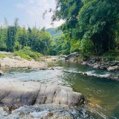 泉記燒鵝張用戶圖片