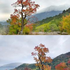 Sage Hall Homestay User Photo