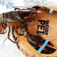 New Glasgow Lobster Supper User Photo