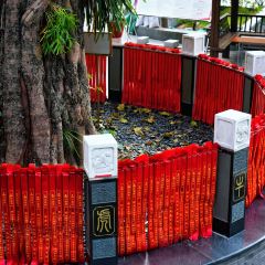 南宁鑫伟万豪酒店·中餐厅 User Photo