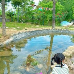Qingzhen·yongxinyiminzushiyuan User Photo