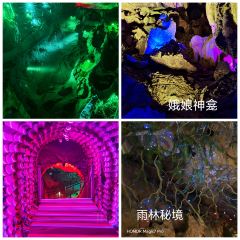 流香干煸老鸭(黄流店) User Photo
