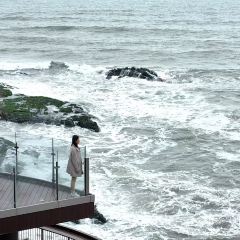 海悦海鲜作坊 User Photo