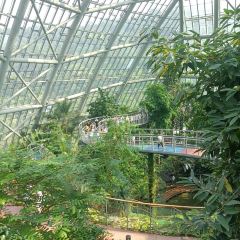 小隱圍屋張用戶圖片