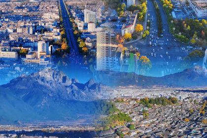 Forest Factory Party