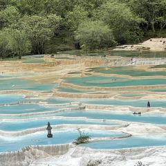 瑟爾嵯國際大酒店中餐廳張用戶圖片