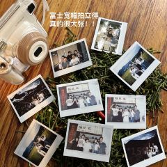 老陈紫溪粉(海洋公园店) User Photo