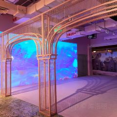 3Q台灣美食張用戶圖片