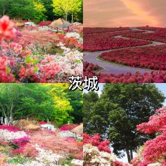 Kani Honpo Gankoya User Photo