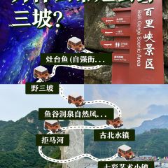 灶台鱼(自强街总店) User Photo