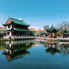 非正常咖啡館（五一路店）張用戶圖片