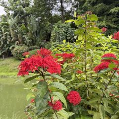 晓雯人家 User Photo