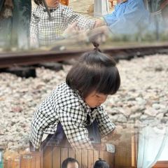 观海渔港· 壹号渔船全海景海鲜食府(石浦渔港店) User Photo