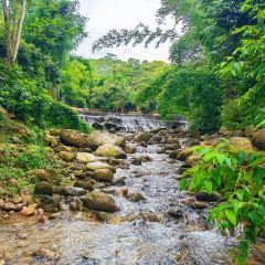 罗浮山天然谷(那里花开店) User Photo