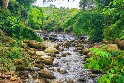 罗浮山天然谷(那里花开店)