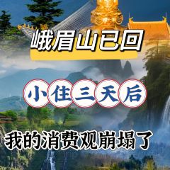 Dongmendoufunao User Photo