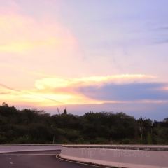 瀘州白糕張用戶圖片