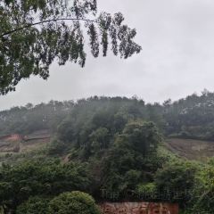 MAO MAO HAN User Photo