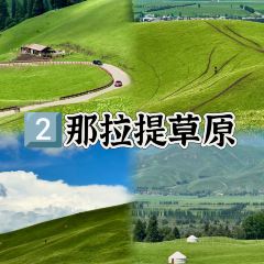 ZHENG FEI DAIRY User Photo