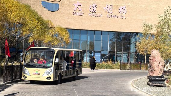 hu yang lin lv you qu nan qu jian piao kou ( shui jing hu yang guan shang qu )